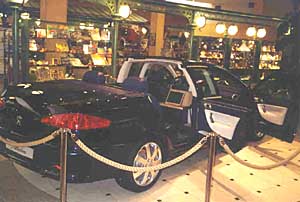 607 Paladine 